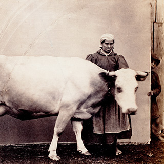Wilhelm von Blandowski, 1822–1878. Niespokojne odbicie